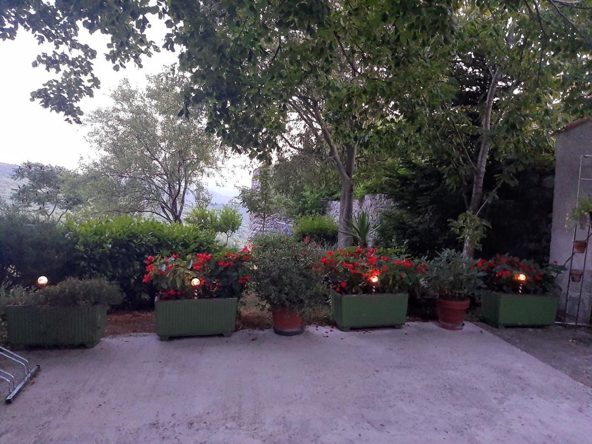 Apartament Pod Lipom Roč